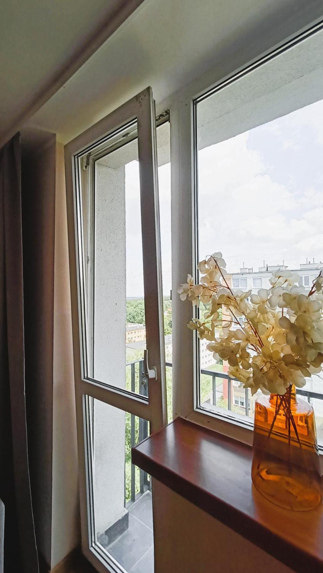 זיילונה גאורה Drzewna Apartamenty - Wladyslawa מראה חיצוני תמונה