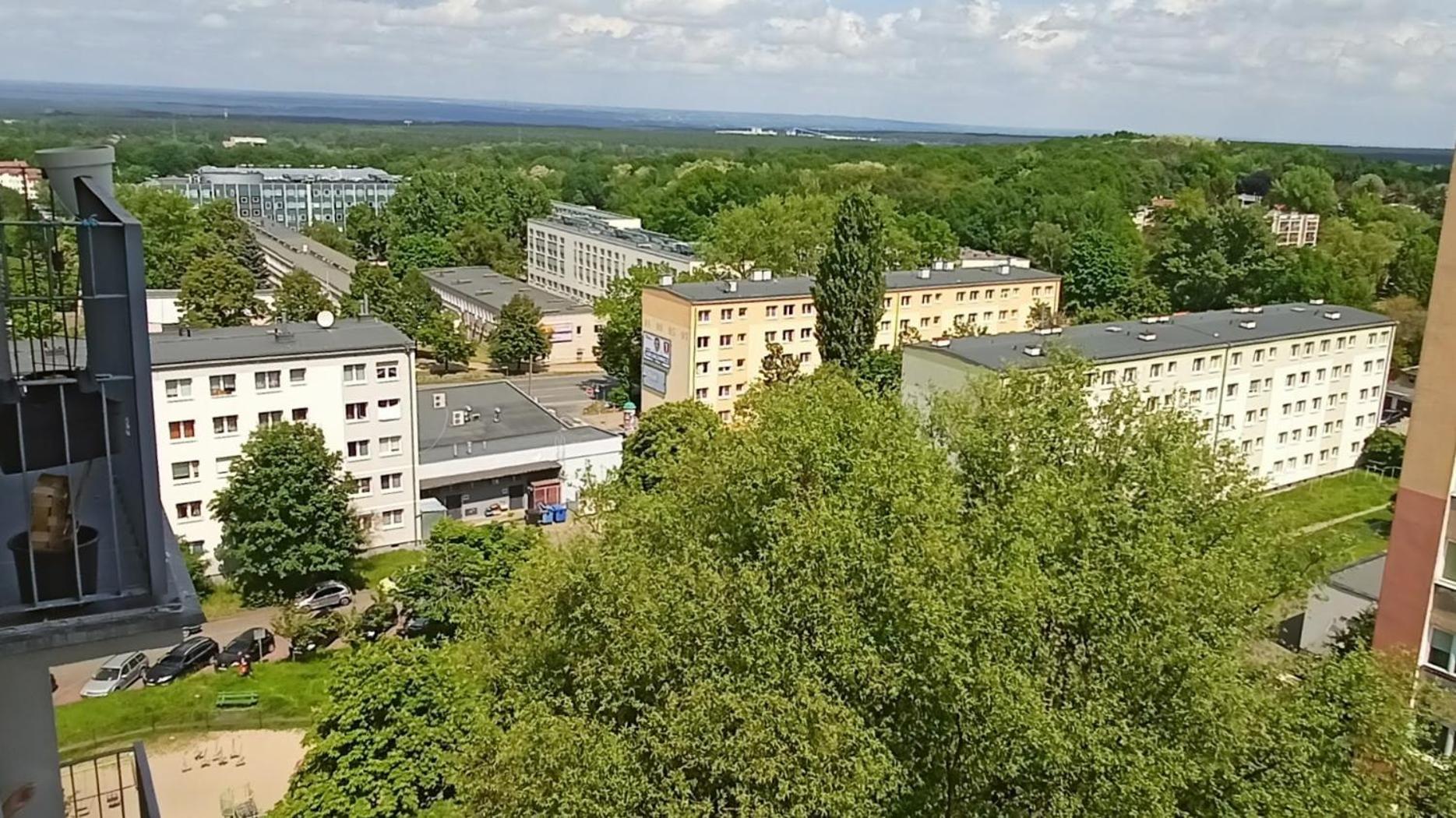 זיילונה גאורה Drzewna Apartamenty - Wladyslawa מראה חיצוני תמונה