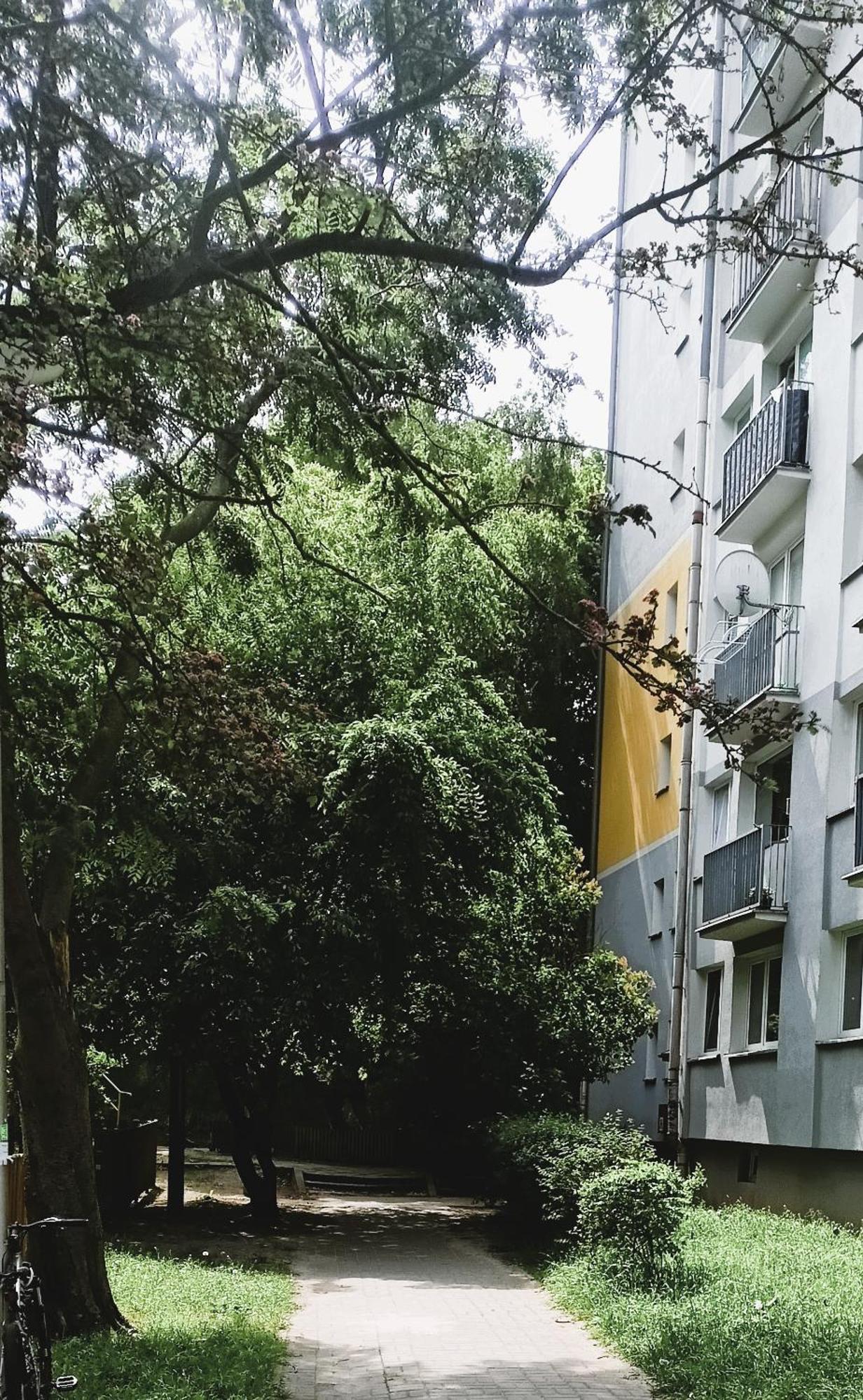 זיילונה גאורה Drzewna Apartamenty - Wladyslawa מראה חיצוני תמונה